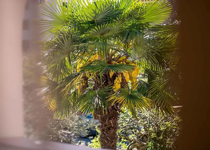 In - Insel Krk 43329 Lägenhet Malinska